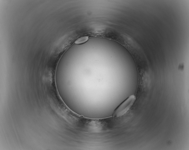 X0000113070562200909110943