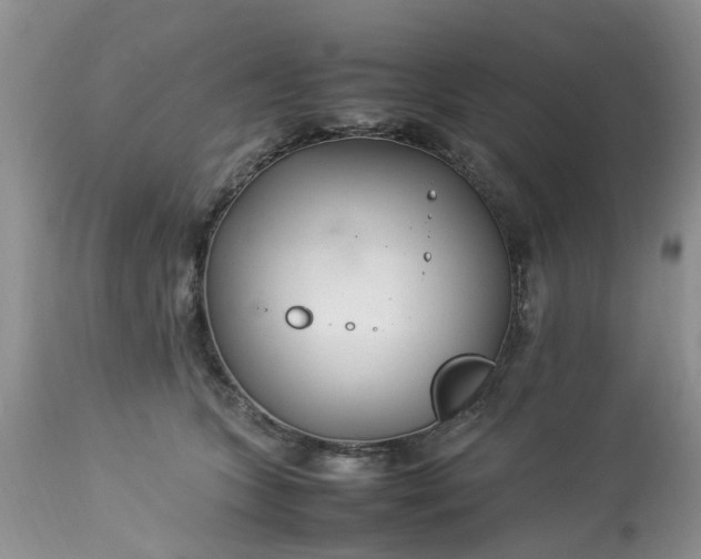 X0000113070563200909110943