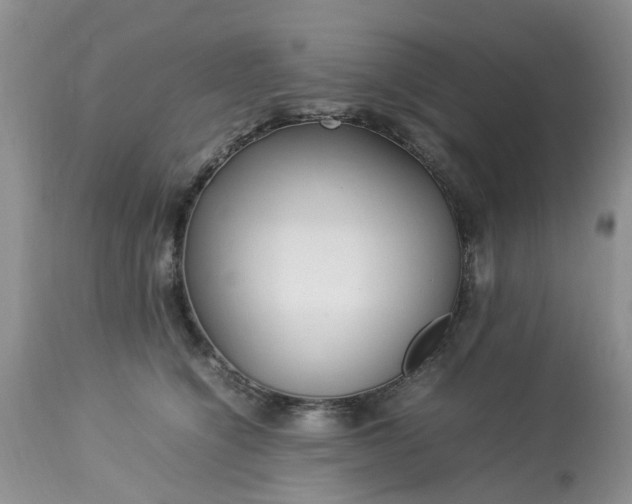 X0000113070564200909110943