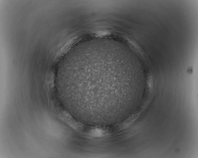 X0000113070565200909110943