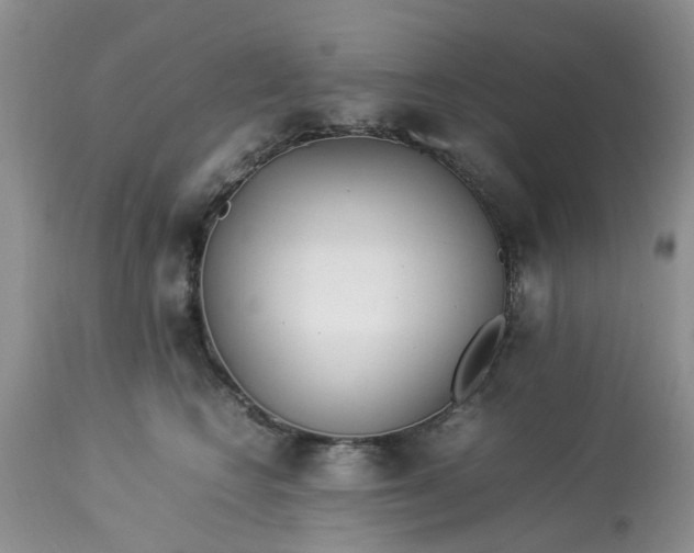 X0000113070566200909110943