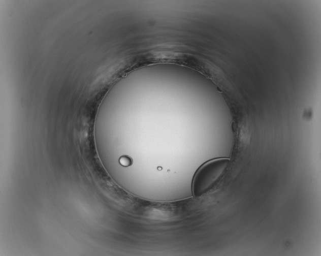 X0000113070567200909110943