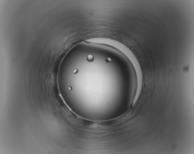 X0000113070568200909110943