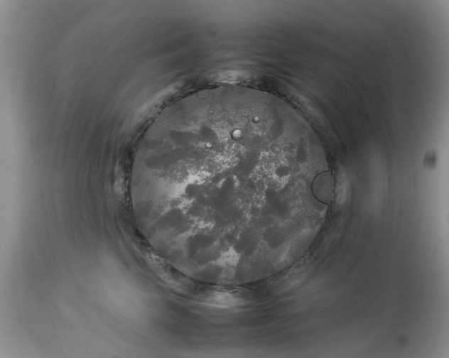 X0000113070569200909110943