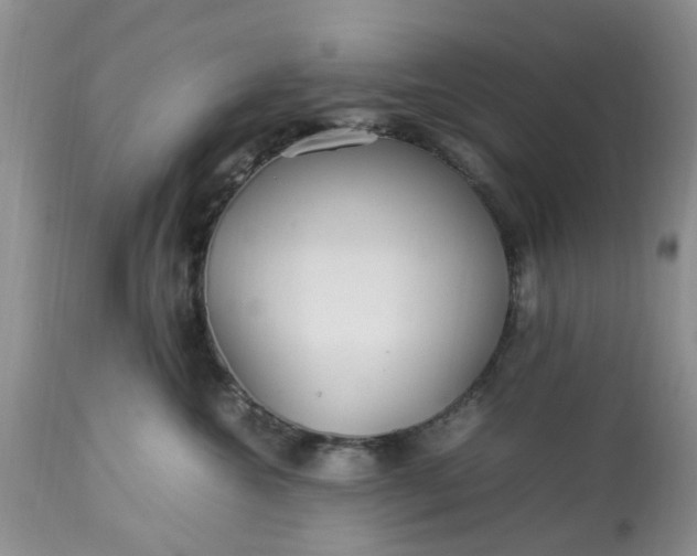 X0000113070572200909110943