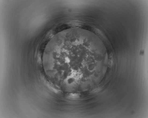 X0000113070573200909110943