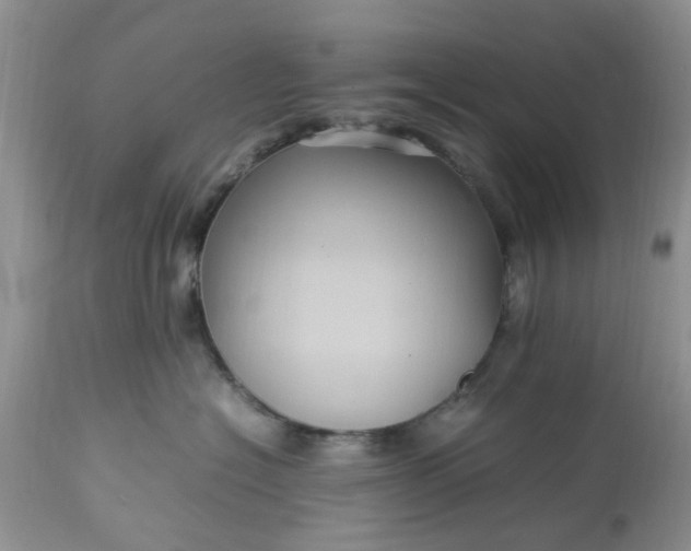 X0000113070574200909110943