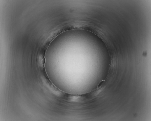 X0000113070575200909110943