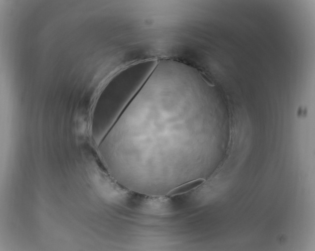 X0000113070576200909110943