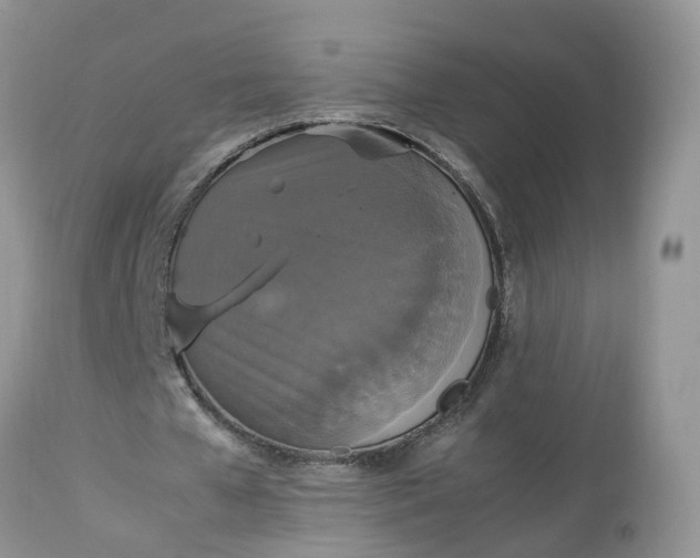 X0000113070577200909110942