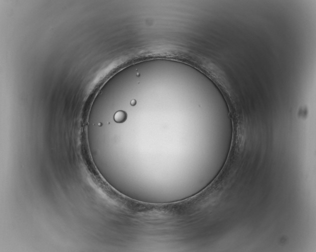 X0000113070578200909110942