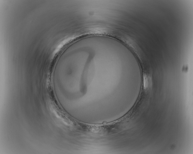 X0000113070579200909110942