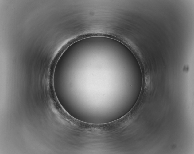 X0000113070580200909110942