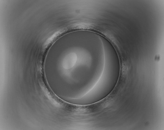 X0000113070581200909110942