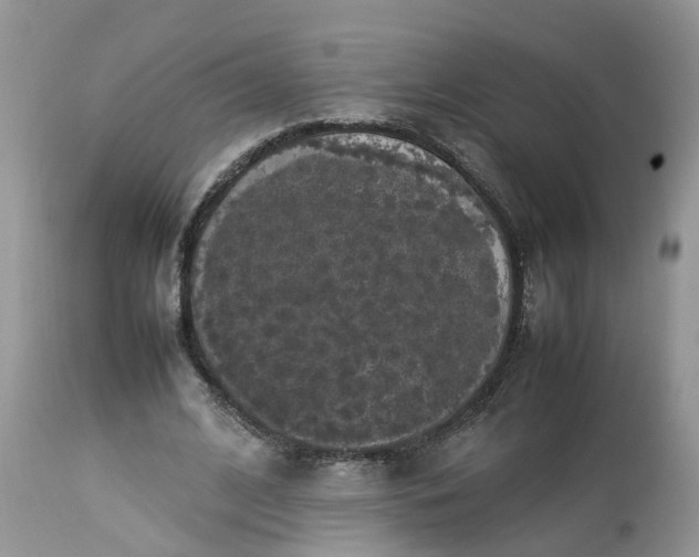 X0000113070584200909110942