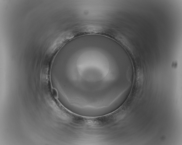 X0000113070585200909110942