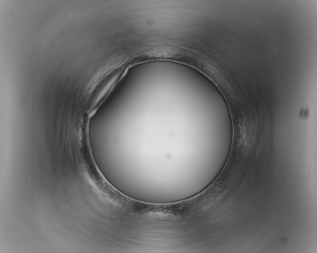 X0000113070586200909110942