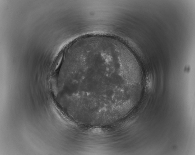 X0000113070588200909110942