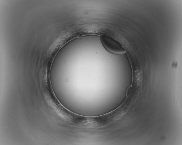 X0000113070589200909110942