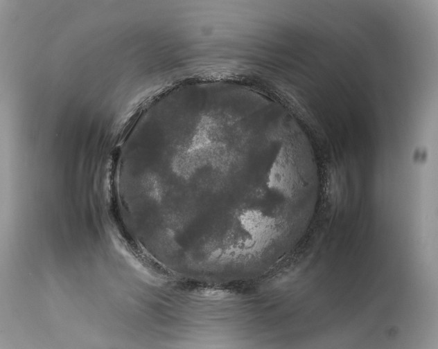 X0000113070590200909110942