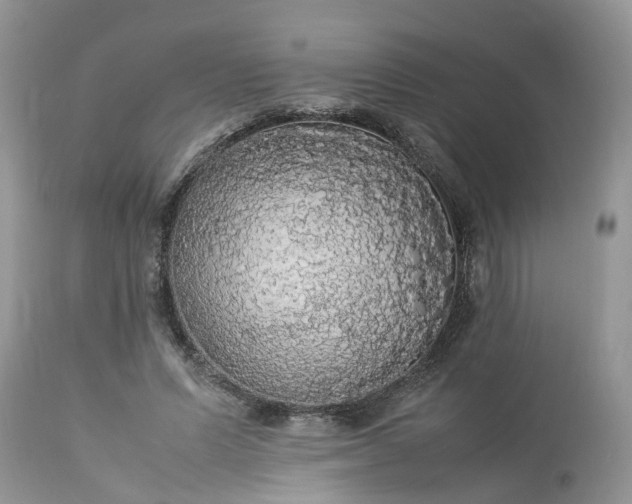 X0000113070591200909110942