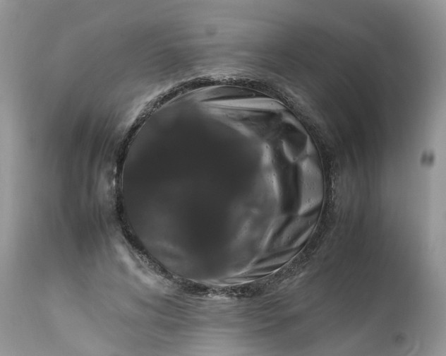 X0000113070592200909110942