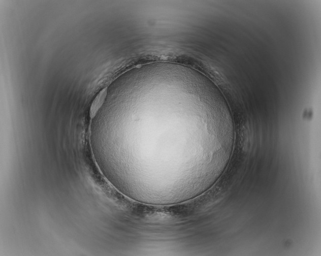 X0000113070594200909110942