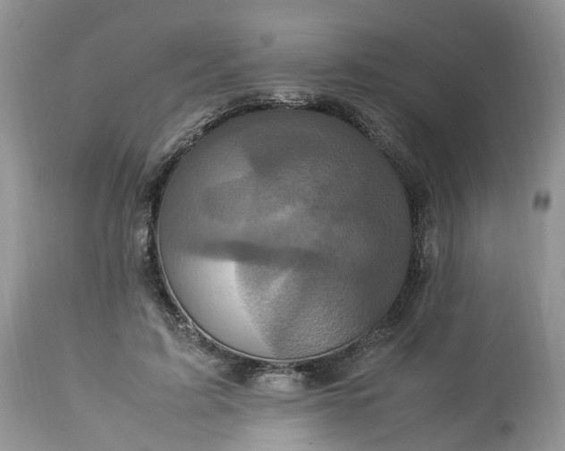 X0000113070595200909110942