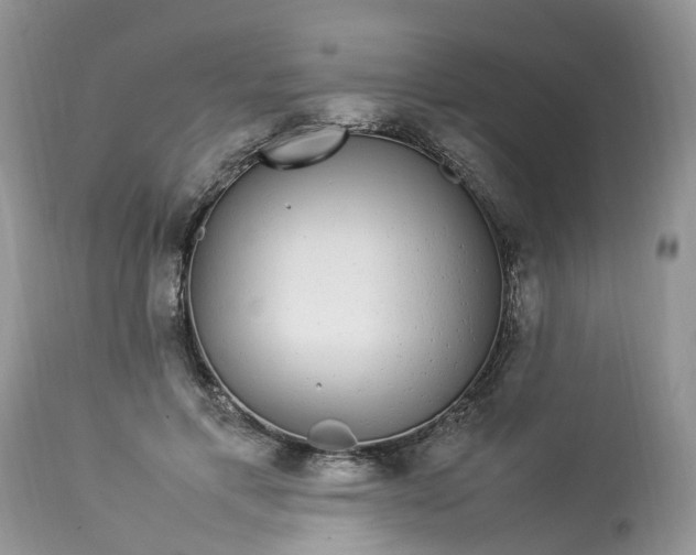 X0000113070597200909110942