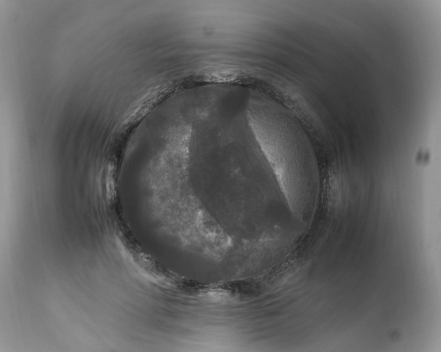 X0000113070598200909110942