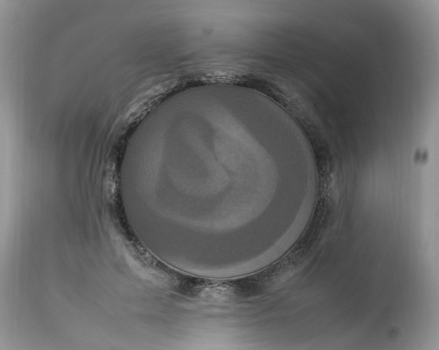 X0000113070599200909110942