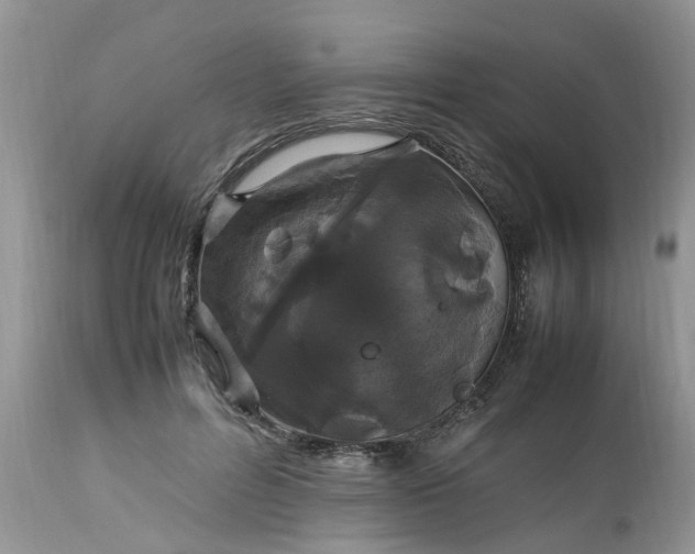 X0000113070600200909110942