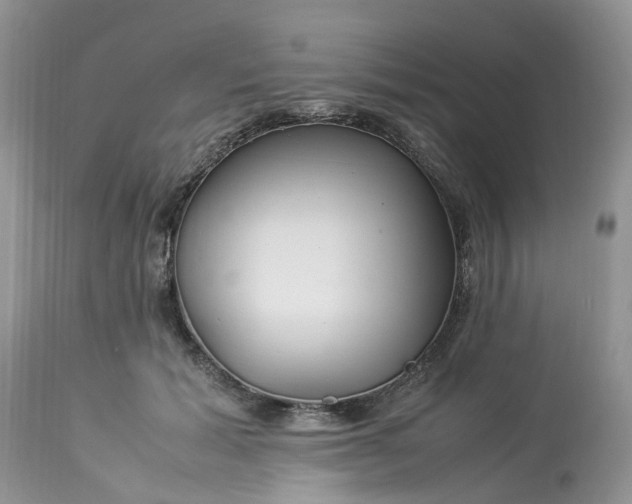 X0000113070605200909110942