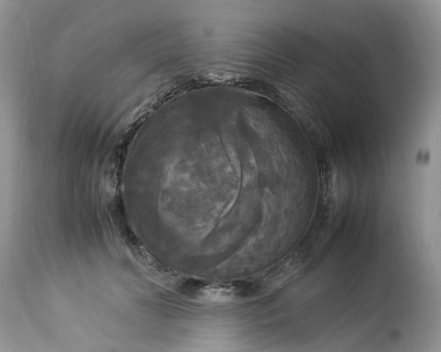 X0000113070606200909110942