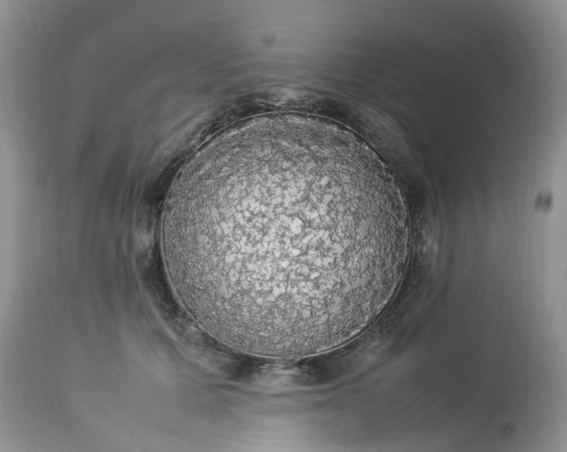 X0000113070607200909110942