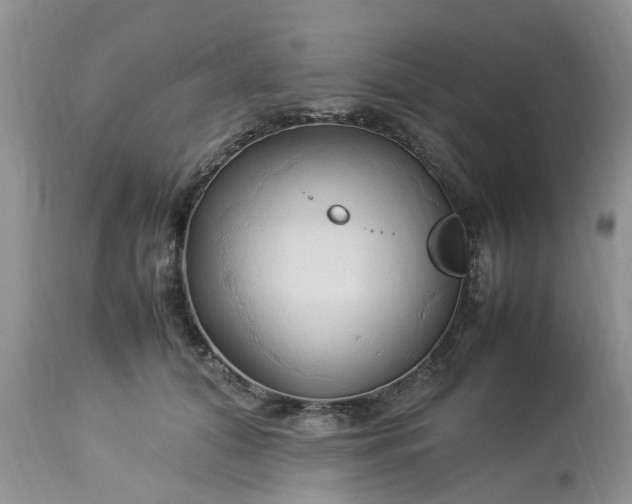 X0000113070608200909110942