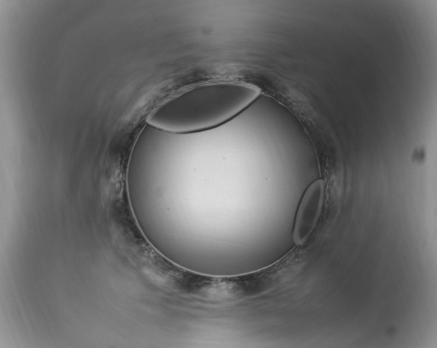 X0000113070609200909110942