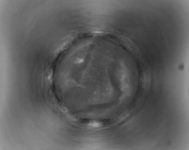 X0000113070610200909110942