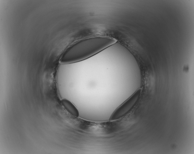 X0000113070611200909110942