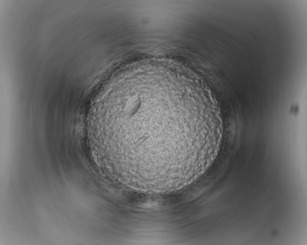 X0000113070612200909110942