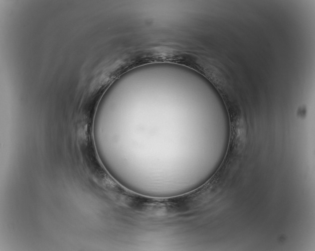 X0000113070615200909110942