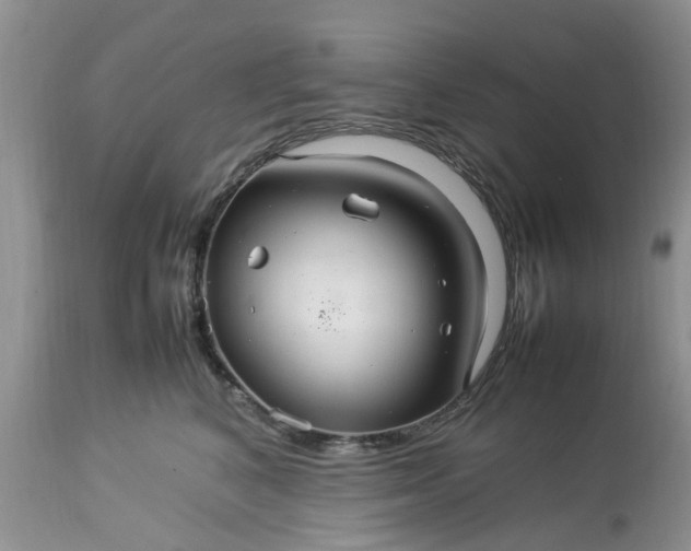 X0000113070616200909110942