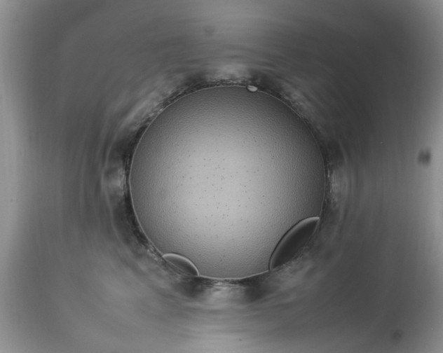 X0000113070617200909110942