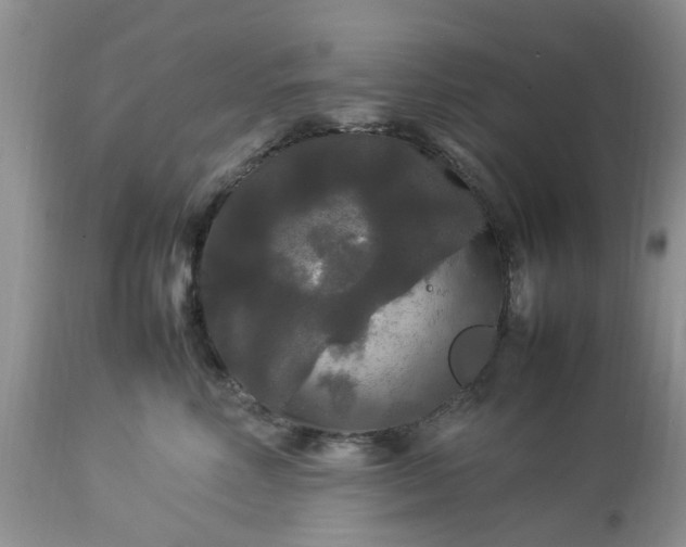 X0000113070618200909110942