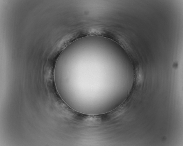 X0000113070619200909110942