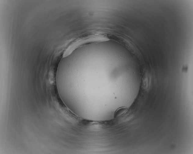 X0000113070620200909110941