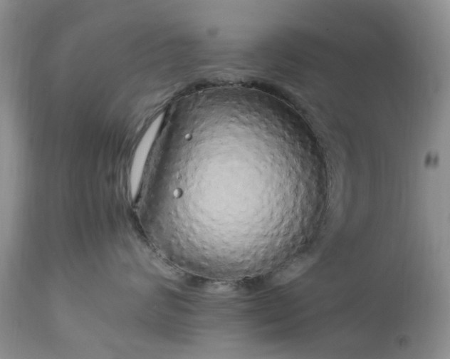 X0000113070624200909110941