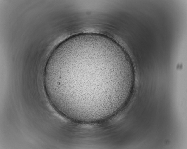 X0000113070625200909110941