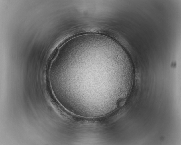 X0000113070626200909110941