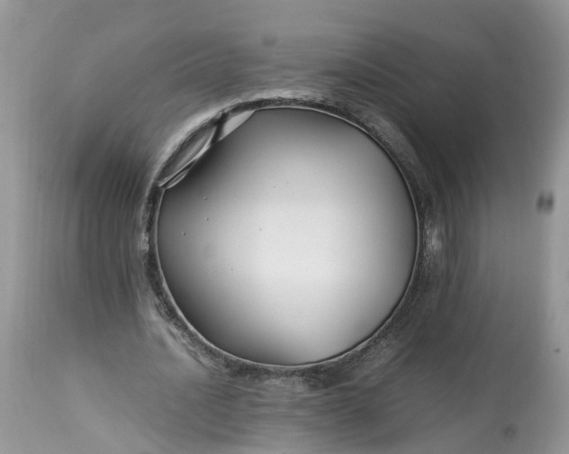 X0000113070628200909110941